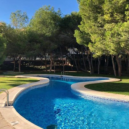 Perla Apartamento Apartman Orihuela Kültér fotó